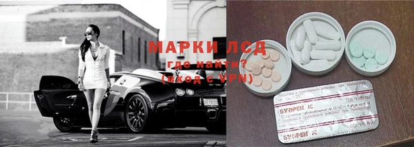 спайс Аркадак