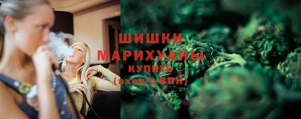 jwh Тайга