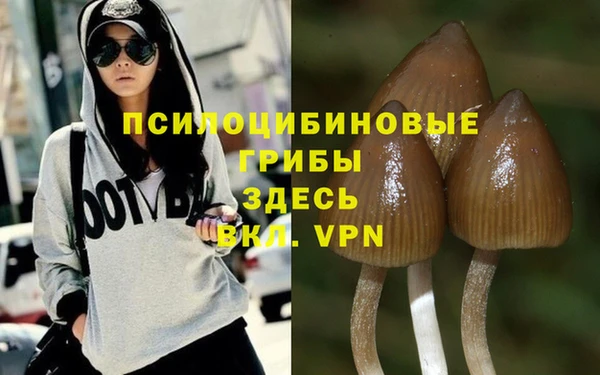 спайс Аркадак