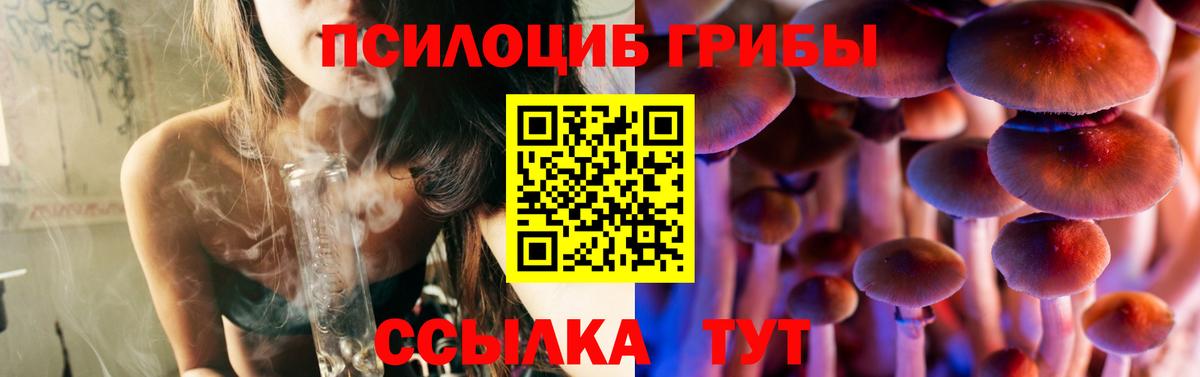 Псилоцибиновые грибы прущие грибы  где найти наркотики  Псилоцибиновые грибы GOLDEN TEACHER  Феодосия  Вход с VPN 